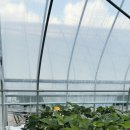 진희네 농장 이미지