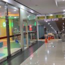 펫데이트 | 아기 고양이들과 놀수있는 수영 고양이 카페 피피피 펫스테이션점 부산 실내데이트 내돈내산 후기