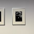 침묵(Silence | RIIZE EXHIBITION 라이즈 전시회 [Silence : Inside the Fame 고요와 파동] 팁은 없고 생각이 많은 후기