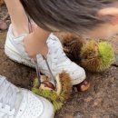 주밤농장 이미지