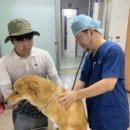 진도메디칼 이미지