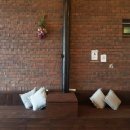 달빛바라기 이미지