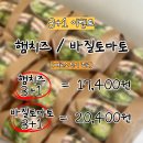 샐러디치오도씨 이미지