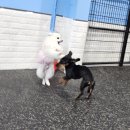 견학생스쿨 이미지