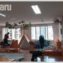 서일유치원 이미지