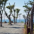 파도와노을캠핑장 이미지