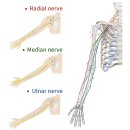 발란체한의원 이미지
