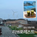 영덕 발전소 | [영덕] 영덕 가볼만한곳 풍력발전소뷰 오션뷰 대형카페 | 리브포레스트