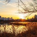 대유농장 | 수원 여행지지 추천, 세계유산인데 입장료까 무료? 230년 호수 품은 도심 일몰 명소 수원 만석공원