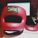 신도슈퍼 | 장비후기2.(슈퍼신도 코보호 헤드기어)_2015.02.20. 작성글