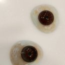 오렌즈 엔터식스 안양점 이미지