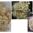 이용복농장 이미지