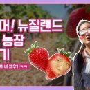 리안농장 이미지