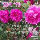 골로새서 강해시리즈 15. “신실한 동역자들” 이미지