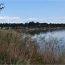 바우길 5구간 이미지