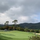 안성베네스트GC
