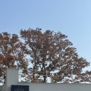 망산카페 이미지