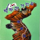 곡성-262 이미지