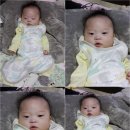 롱다리디스코