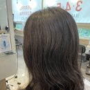 분당-345 이미지