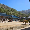 1.21침투로 | 서울 진관사 : 서울 한복판에 자리한 깊은 산사 전통과 현대가 조화된 사찰 공간