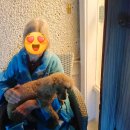 라온이네 이미지