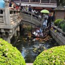 “다시 한번, 여행을 가겠습니다” | [쑤저우 여행 3일차] 시 한 구절에 담긴 낭만과 힐링 풍교 한산사 서원사 유원 예포 투어