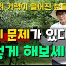 [용담초] 간에 문제가 있다면 이렇게 해보세요 이미지