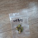 아키메네스 하드투겟 이미지