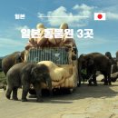 생각하는늑대 | 일본 아이랑 여행 6살이랑 동물원 솔직 후기 덴노지 아프리칸사파리 다카사키야마