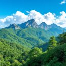 <평생학습도시 -온라인 저녁강좌 > 수묵화 | [100대 명산] 천성산 등반 완전정복