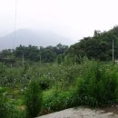 백신2리 이미지