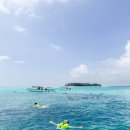 아프리카 | 아프리카 여행 프롤로그 아모트래블 후기