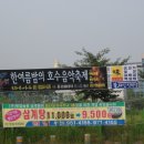 쌍암주유소