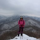 매봉산1 이미지