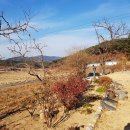 (급매물)경북 안동 주택과 토지 매매 이미지