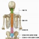 프로 팰리스 짐 이미지