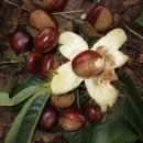 모터박스 이미지