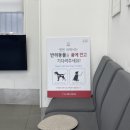 홍경태동물병원 이미지
