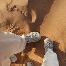 신용나라세탁 | 두바이 하얏트 리젠시, 두바이 배달, 12월 날씨, 두바이 사막투어 추천, 사막 준비물, 여행사 패키지 후기