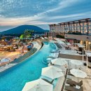 커넥팅제주 이미지