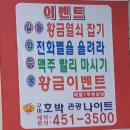 호박 관광나이트 | 구미호박나이트/호박관광나이트