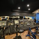 고고 휘트니스 이미지