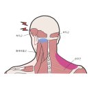 평동한의원 이미지