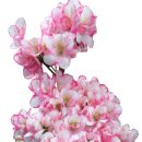 공장공인중개사사무소 이미지