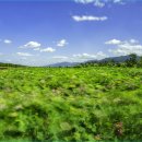 맥도생태공원 이미지