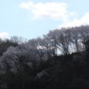 춘향테마파크 이미지