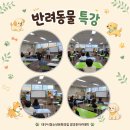 반려동물 특강 이미지