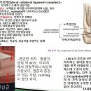 [9강-2 팔과손 그리고 그 근육] (41강)팔꿈치와 전완, 골학, 관절학, 운동형상학(뉴만)2 이미지