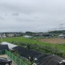 박달재식당